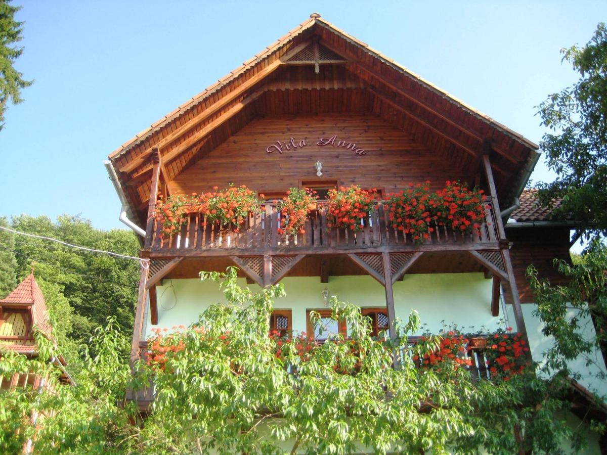 Vila Anna Sovata Εξωτερικό φωτογραφία