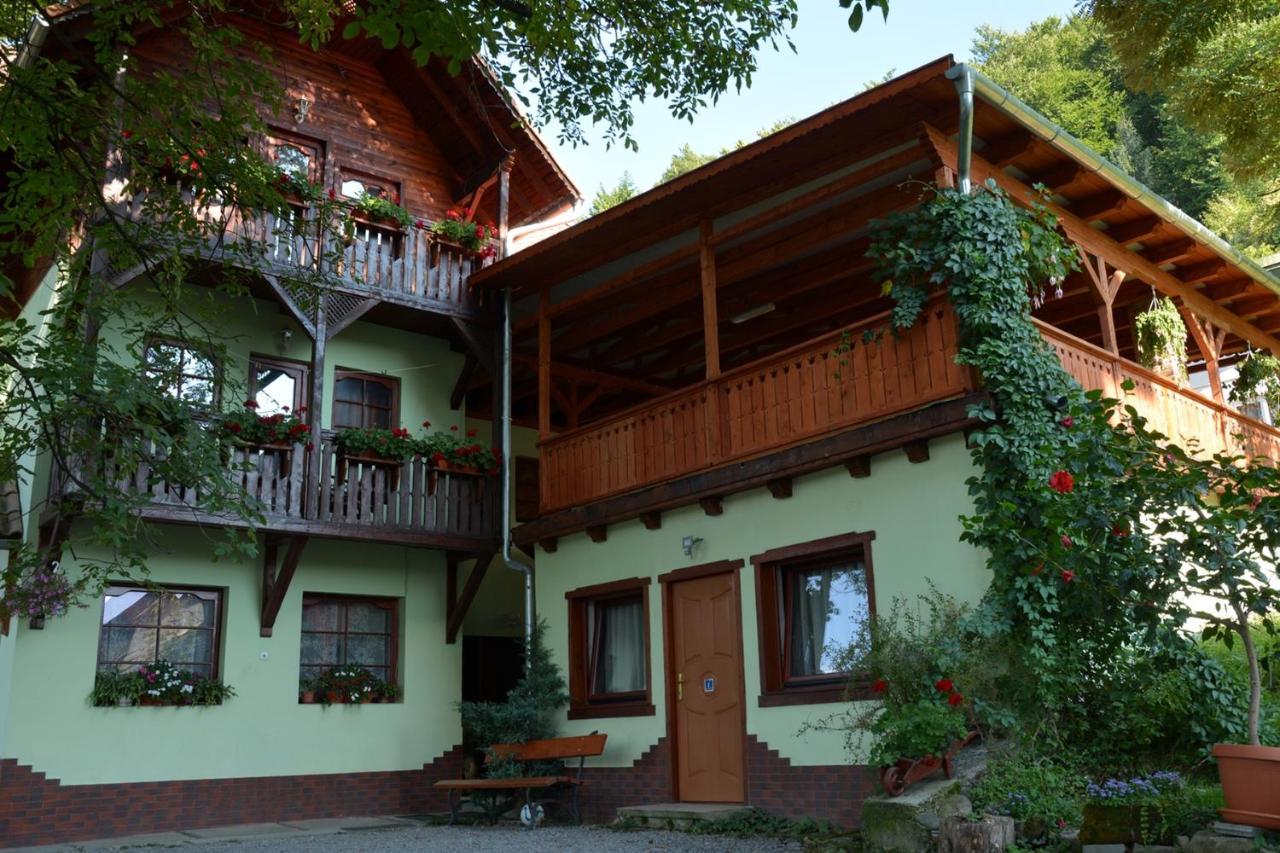 Vila Anna Sovata Εξωτερικό φωτογραφία